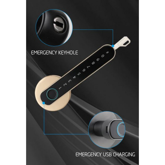 Lacăt electronic Biometric Smart lock