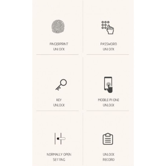 Lacăt electronic Biometric Smart lock